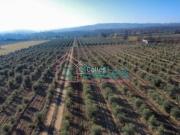 Terreno en Venta en Aranjuez