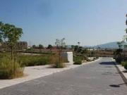 Terreno en Venta en Archena