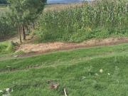 Terreno en Venta en Camino a Corral de Piedra. Col. El...