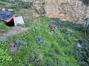 Terreno en Venta en Arcos de la Frontera