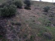 Terreno en Venta en Arcos de la Frontera