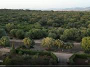 Casa rústica / Caserío en Venta en Arcos de la Frontera