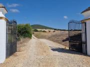 Terreno en Venta en Arcos de la Frontera