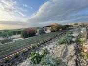 Terreno en venta en Arcos de la Frontera, Arcos De La...