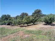 Terreno en Venta en Arenas de San Pedro