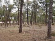 Terreno en Venta en Arévalo