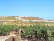 Terreno en Venta en Arico