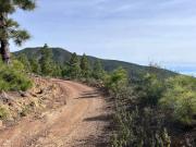 Terreno en Venta en Arico