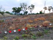 Terreno en venta en Arroyo del Maíz Uno, Poza Rica de...