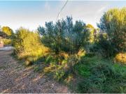 Terreno en Venta en Artà