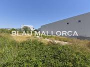 Terreno en Venta en Artà Poble
