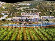TERRENO EN VENTA EN ARTEAGA COAHUILA