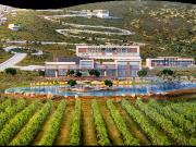 TERRENO EN VENTA EN ARTEAGA COAHUILA