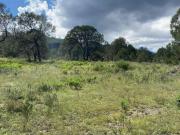 TERRENO EN VENTA EN ARTEAGA COAHUILA