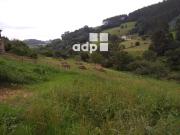 Terreno en Venta en Arzúa