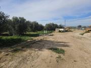 Terreno en Venta en Aspe