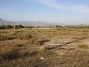 Terreno en Venta en Aspe