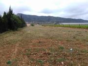 Terreno en Venta en Aspe