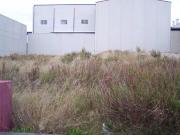 Terreno en Venta en Aspe