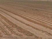 Terreno en venta en Aspe, Aspe