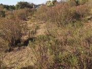 Terreno en Venta en Atemajac de Brizuela