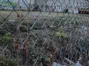 Terreno en Venta en Atemajac del Valle Av. Federalismo