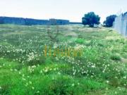 Terreno en venta en Atempa, Tizayuca, Hidalgo