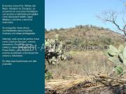 Terreno en venta en Atizapan de Zaragoza, Mexico Nuevo...