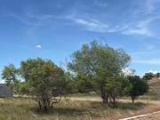 Terreno en Venta en Atongo de abajo, Cadereyta Jiménez,... Terreno en Venta en Atongo de abajo, Cadereyta Jiménez,...