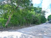 Terreno en Venta en Av. Alfredo Bonfil