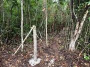 TERRENO EN VENTA EN AV. CASTORENA EN CANCUN 2500 M2