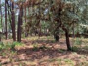 Terreno venta Avandaro, Cerro Gordo, Valle de Bravo