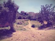 Terreno en venta en Calafell, de 302 m² por 56.000