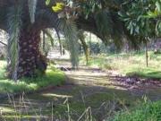 Terreno en Venta en Avilés