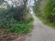 Terreno en venta en Avilés
