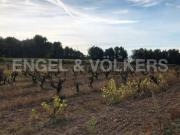 Terreno en Venta en Avinyonet del Penedès
