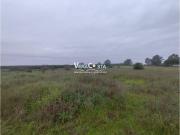 Terreno en Venta en Ayamonte