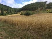 Terreno en Venta en Bacáicoa Bakaiku