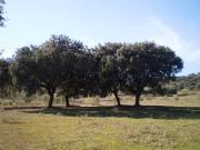 Terreno en Venta en Badajoz