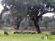 Terreno en Venta en Badajoz