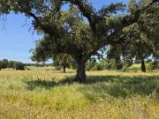 Terreno en Venta en Badajoz