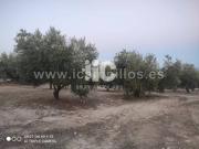 Terreno en Venta en Baena