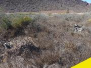 Terreno en venta en Bah?a de Kino