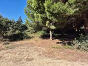 Terreno en Venta en Barbate