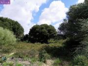 Terreno en Venta en Barbate