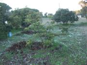 Terreno en Venta en Barbate