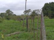 Terreno en venta en Barrancas y Amate 2da. Sección,...