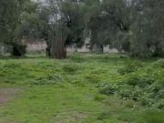 TERRENO en VENTA en Barrio Atempa, Tizayuca Hidalgo