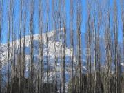 Terreno en venta en barrio cerrado