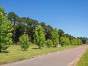 Terreno en venta en barrio Pinares, Capilla del Señor
